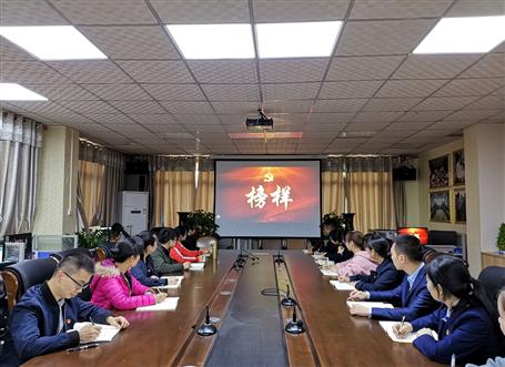 向榜樣看齊，做合格黨員