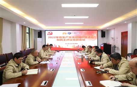 廖立波、唐峰、何勇以普通黨員身份參加所在黨支部2022年度組織生活會