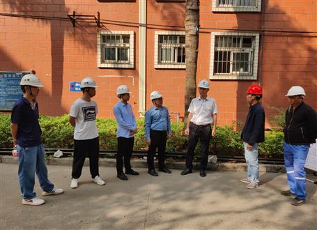 何勇、韋克雪到柳州市城市更新項目進行調研指導工作